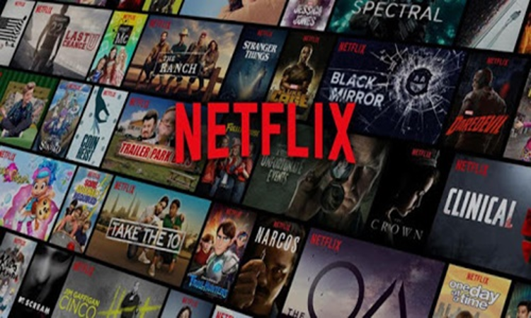 Delhi High Court Passes Dynamic+ Injunction To Protect Copyrighted Works Of Warner Bros, Netflix & Others
