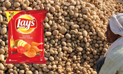 Delhi High Court Sets Aside Single Judge Order Upholding Revocation Of PepsiCos Registration For Potato Variety Used In Lays Chips