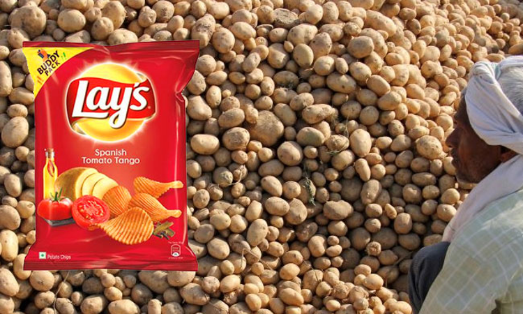 Delhi High Court Sets Aside Single Judge Order Upholding Revocation Of PepsiCos Registration For Potato Variety Used In Lays Chips