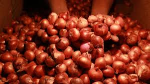 Government Imposes 40% Export Duty On Onions To Stabilize Domestic Market