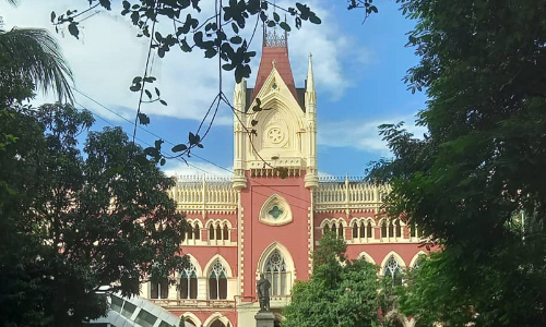 Calcutta High Court Allows Pharma Company To Avail CENVAT Credit On Sales Promotion Services