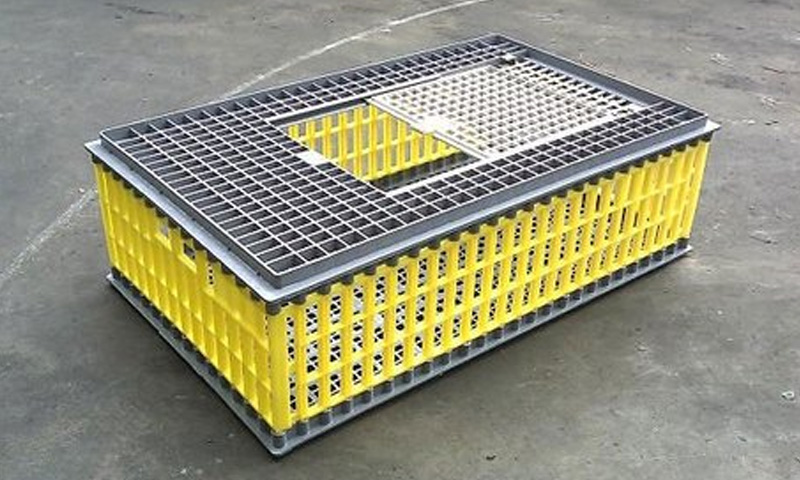 Poultry Crates Attracts 18% GST: AAR