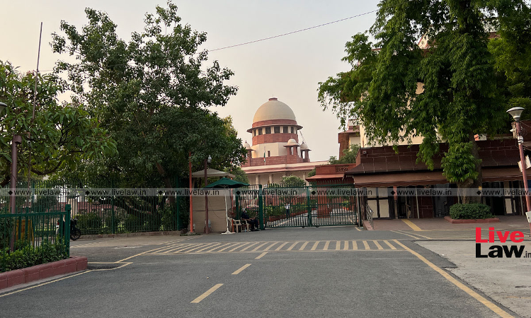 Anardana Be Classified Under Heading 1209 Of Tariff Entries Under Customs Tariff Act, 1975 & Attract 5% Custom Duty Till Revenue Takes Policy Decision Regarding The Same: Supreme Court