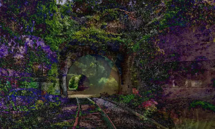 Reshaping The Canvas: The Thaler Echo