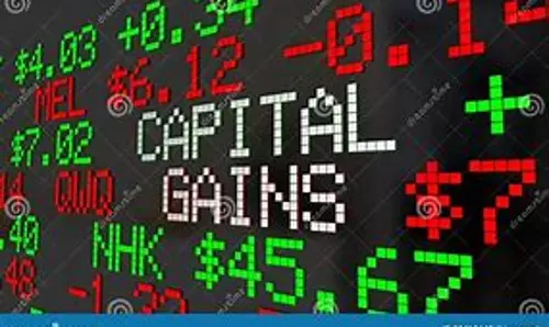 Capital Gain On Share Market Income Increased: Budget 2024-25