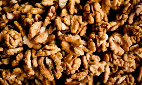 Customs Act | Gujarat High Court Upholds CARR Ruling Allowing Duty Free Import On Inshell Walnuts Treating It As Dietary Fibre