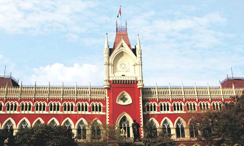 Calcutta High Court Sets Aside Patent Office Order Rejecting US Companys Glass Fibre Patent Calcutta High Court Sets Aside Patent Office Order Rejecting US Companys Glass Fibre Patent