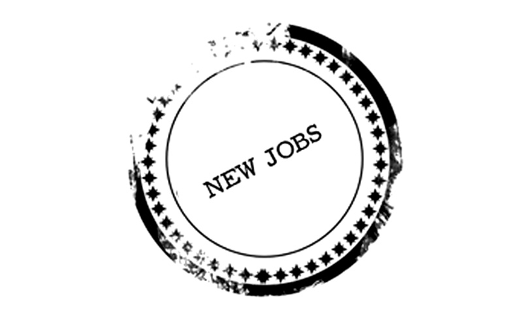 Chief General Manager Vacancy At National Financial Reporting Authority